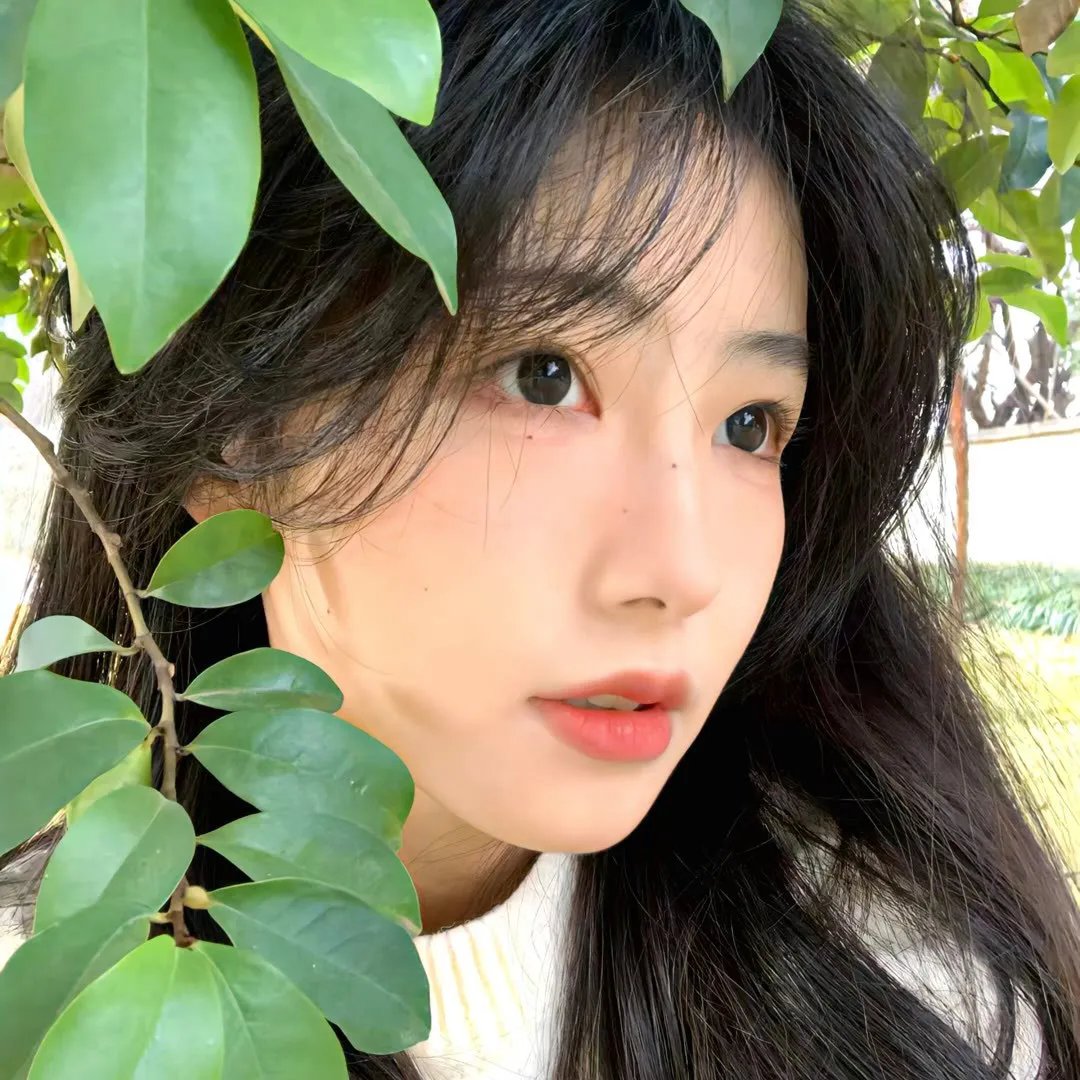 如果这些墙会歌唱